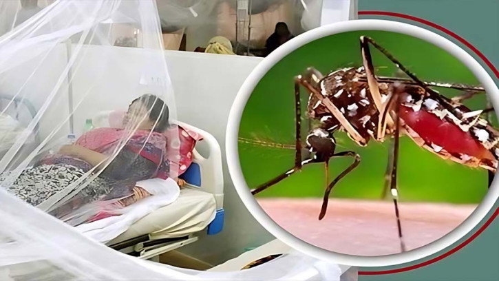 ডেঙ্গুতে মৃত্যু হাজার ছাড়াল